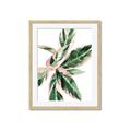 Picture of Leafy I _GroupedProduct_Rectangle_Portrait_Framed_Matted_