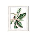 Picture of Leafy I _GroupedProduct_Rectangle_Portrait_Framed_Matted_