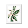 Picture of Leafy I _GroupedProduct_Rectangle_Portrait_Framed_Matted_