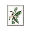Picture of Leafy I _GroupedProduct_Rectangle_Portrait_Framed_Matted_