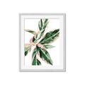 Picture of Leafy I _GroupedProduct_Rectangle_Portrait_Framed_Matted_