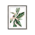Picture of Leafy I _GroupedProduct_Rectangle_Portrait_Framed_Matted_