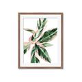 Picture of Leafy I _GroupedProduct_Rectangle_Portrait_Framed_Matted_