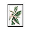 Picture of Leafy I _GroupedProduct_Rectangle_Portrait_Framed_Matted_