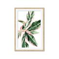 Picture of Leafy I _GroupedProduct_Rectangle_Portrait_Framed_Matted_