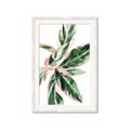 Picture of Leafy I _GroupedProduct_Rectangle_Portrait_Framed_Matted_
