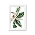 Picture of Leafy I _GroupedProduct_Rectangle_Portrait_Framed_Matted_