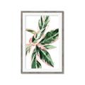 Picture of Leafy I _GroupedProduct_Rectangle_Portrait_Framed_Matted_