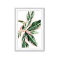 Picture of Leafy I _GroupedProduct_Rectangle_Portrait_Framed_Matted_