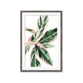 Picture of Leafy I _GroupedProduct_Rectangle_Portrait_Framed_Matted_