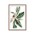 Picture of Leafy I _GroupedProduct_Rectangle_Portrait_Framed_Matted_