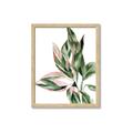 Picture of Leafy II _GroupedProduct_Rectangle_Portrait_Framed_Matted_