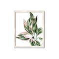 Picture of Leafy II _GroupedProduct_Rectangle_Portrait_Framed_Matted_