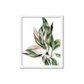 Picture of Leafy II _GroupedProduct_Rectangle_Portrait_Framed_Matted_