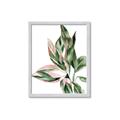 Picture of Leafy II _GroupedProduct_Rectangle_Portrait_Framed_Matted_