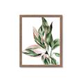 Picture of Leafy II _GroupedProduct_Rectangle_Portrait_Framed_Matted_