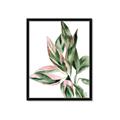 Picture of Leafy II _GroupedProduct_Rectangle_Portrait_Framed_Matted_