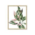 Picture of Leafy II _GroupedProduct_Rectangle_Portrait_Framed_Matted_