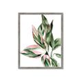 Picture of Leafy II _GroupedProduct_Rectangle_Portrait_Framed_Matted_