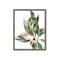 Picture of Leafy II _GroupedProduct_Rectangle_Portrait_Framed_Matted_
