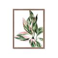 Picture of Leafy II _GroupedProduct_Rectangle_Portrait_Framed_Matted_