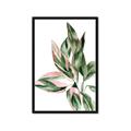 Picture of Leafy II _GroupedProduct_Rectangle_Portrait_Framed_Matted_