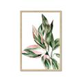 Picture of Leafy II _GroupedProduct_Rectangle_Portrait_Framed_Matted_