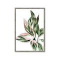 Picture of Leafy II _GroupedProduct_Rectangle_Portrait_Framed_Matted_