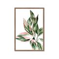 Picture of Leafy II _GroupedProduct_Rectangle_Portrait_Framed_Matted_