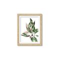 Picture of Leafy II _GroupedProduct_Rectangle_Portrait_Framed_Matted_