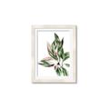 Picture of Leafy II _GroupedProduct_Rectangle_Portrait_Framed_Matted_