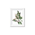 Picture of Leafy II _GroupedProduct_Rectangle_Portrait_Framed_Matted_