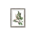 Picture of Leafy II _GroupedProduct_Rectangle_Portrait_Framed_Matted_