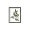 Picture of Leafy II _GroupedProduct_Rectangle_Portrait_Framed_Matted_