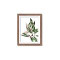 Picture of Leafy II _GroupedProduct_Rectangle_Portrait_Framed_Matted_