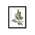 Picture of Leafy II _GroupedProduct_Rectangle_Portrait_Framed_Matted_