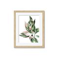 Picture of Leafy II _GroupedProduct_Rectangle_Portrait_Framed_Matted_
