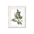 Picture of Leafy II _GroupedProduct_Rectangle_Portrait_Framed_Matted_