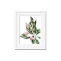 Picture of Leafy II _GroupedProduct_Rectangle_Portrait_Framed_Matted_