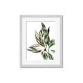 Picture of Leafy II _GroupedProduct_Rectangle_Portrait_Framed_Matted_