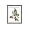 Picture of Leafy II _GroupedProduct_Rectangle_Portrait_Framed_Matted_