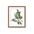 Picture of Leafy II _GroupedProduct_Rectangle_Portrait_Framed_Matted_