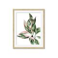 Picture of Leafy II _GroupedProduct_Rectangle_Portrait_Framed_Matted_