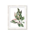 Picture of Leafy II _GroupedProduct_Rectangle_Portrait_Framed_Matted_