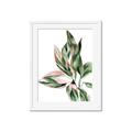 Picture of Leafy II _GroupedProduct_Rectangle_Portrait_Framed_Matted_