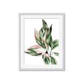 Picture of Leafy II _GroupedProduct_Rectangle_Portrait_Framed_Matted_