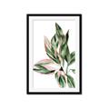 Picture of Leafy II _GroupedProduct_Rectangle_Portrait_Framed_Matted_