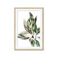 Picture of Leafy II _GroupedProduct_Rectangle_Portrait_Framed_Matted_
