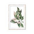Picture of Leafy II _GroupedProduct_Rectangle_Portrait_Framed_Matted_