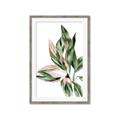 Picture of Leafy II _GroupedProduct_Rectangle_Portrait_Framed_Matted_